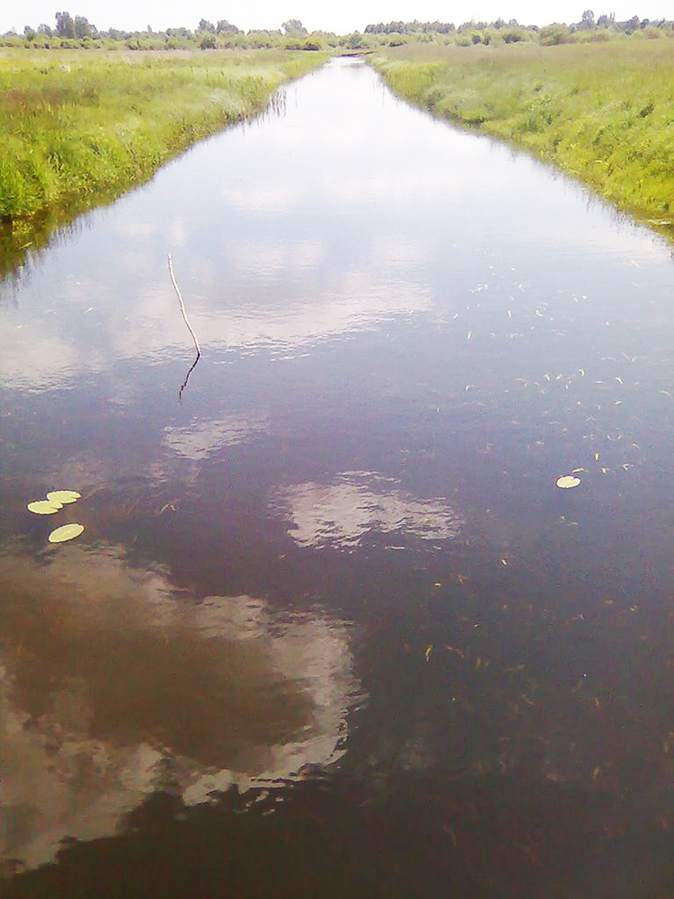 р. Неретва побл. с. Вижгів